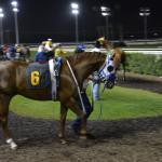 LosAl_Race_0149 (July 26, 2015)